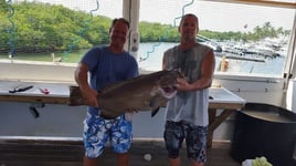 Blue Water Offshore Spearfishing