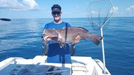 Blue Water Offshore Spearfishing