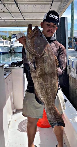 Blue Water Offshore Spearfishing