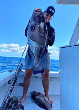 Blue Water Offshore Spearfishing