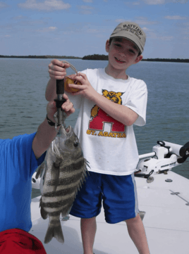 Sheepshead Fishing in Bonita Springs, Florida