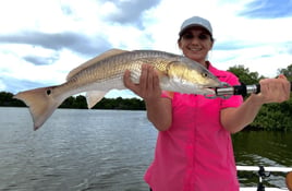 Redfish Fishing in Bonita Springs, Florida