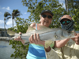 Snook Fishing in Bonita Springs, Florida