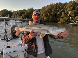 Snook Fishing in Fort Myers, Florida