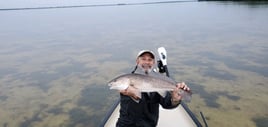 Redfish Fishing in Fort Myers, Florida