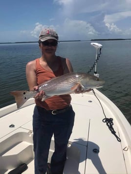 Redfish Fishing in Bokeelia, Florida