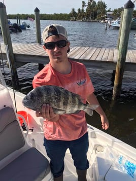 Sheepshead Fishing in Bokeelia, Florida