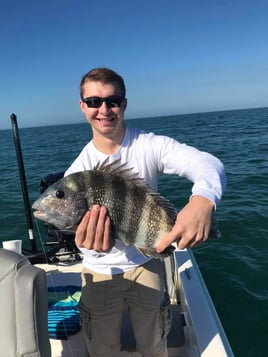 Sheepshead Fishing in Bokeelia, Florida