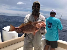 Offshore Excursion - 26' Key West