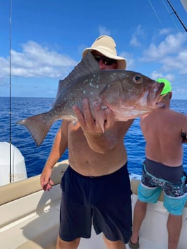 Offshore Excursion - 26' Key West