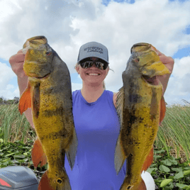 Peacock Bass Fishing in Plantation, Florida