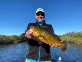 Peacock Bass Fishing in Plantation, Florida