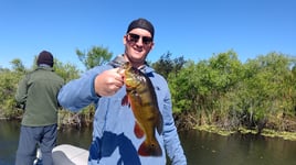 Peacock Bass Fishing in Plantation, Florida