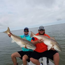 Redfish Fishing in Cape Coral, Florida