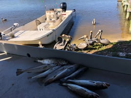 Cedar Key Family Fun - 24’ Carolina