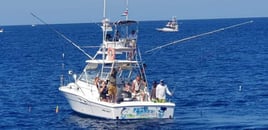 Big Fish Costa Rica - 33' Proline