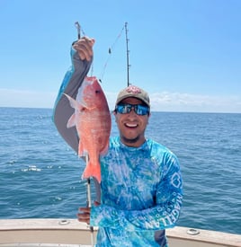 Red Snapper Fishing in Freeport, Texas