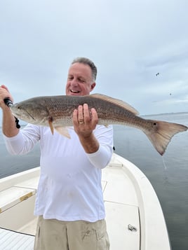 Redfish Fishing in Sarasota, Florida