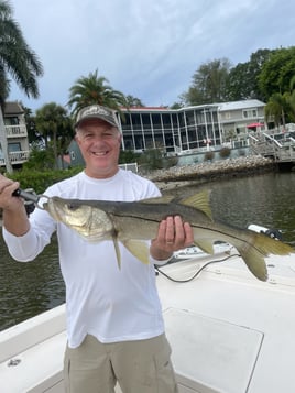 Snook Fishing in Sarasota, Florida