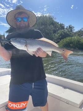 Redfish Fishing in Sarasota, Florida