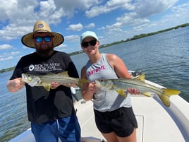 Snook Fishing in Sarasota, Florida