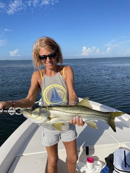 Snook Fishing in Sarasota, Florida