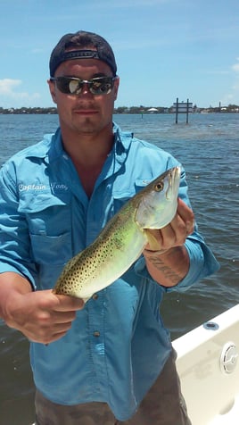 Speckled Trout Fishing in Sarasota, Florida