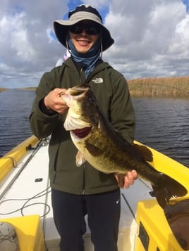 Largemouth Bass Fishing in Fort Lauderdale, Florida