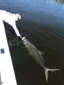 Extreme Tarpon Trip - 20' Twin Vee