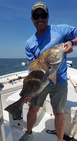 Action-Packed Alabama Coast