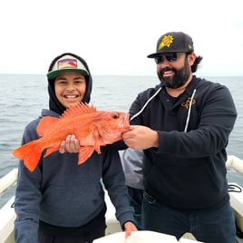 Rockfish Fishing in San Diego, California