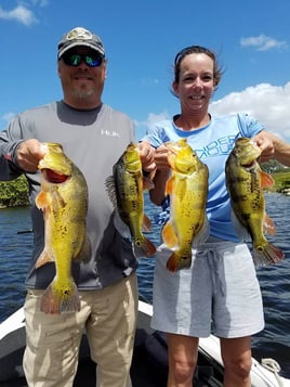 Peacock Bass Fishing in Fort Lauderdale, Florida