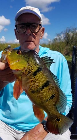 Peacock Bass Fishing in Fort Lauderdale, Florida