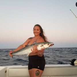 Kingfish Fishing in Fort Lauderdale, Florida