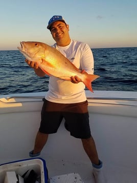 Mutton Snapper Fishing in Fort Lauderdale, Florida