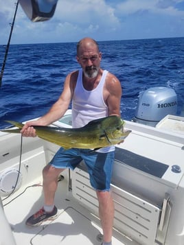 Mahi Mahi Fishing in Fort Lauderdale, Florida