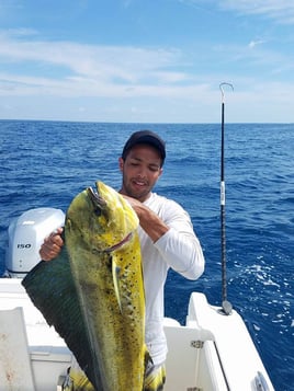 Mahi Mahi Fishing in Fort Lauderdale, Florida