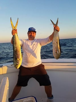 Mahi Mahi Fishing in Fort Lauderdale, Florida