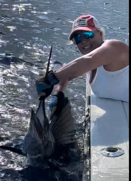 Loxahatchee River Snook