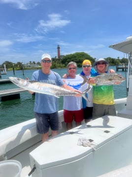 Loxahatchee River Snook