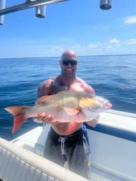 Loxahatchee River Snook