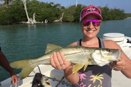 Snook Fishing in Englewood, Florida