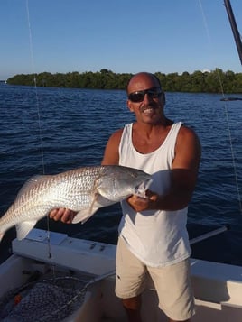 Redfish Fishing in Englewood, Florida