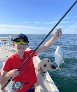 Jack Crevalle Fishing in Englewood, Florida