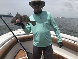 Black Drum Fishing in Galveston, Texas