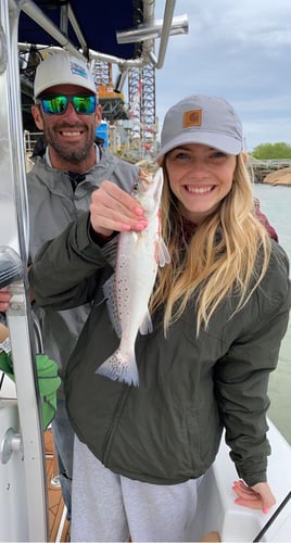 Speckled Trout Fishing in Galveston, Texas