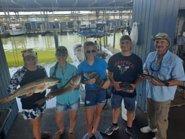 Black Drum, Redfish, Speckled Trout Fishing in Galveston, Texas