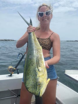 Mahi Mahi Fishing in Pompano Beach, Florida