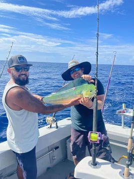 Mahi Mahi Fishing in Pompano Beach, Florida