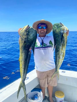 Mahi Mahi Fishing in Pompano Beach, Florida